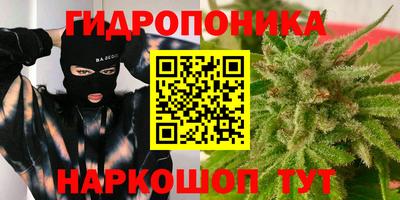 spice Кандалакша