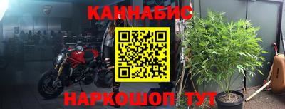 прущие крисы Камышлов