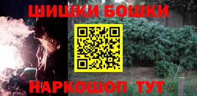 прущие крисы Камышлов