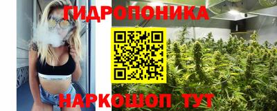 spice Кандалакша