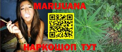 прущие крисы Камышлов