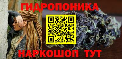 прущие крисы Камышлов