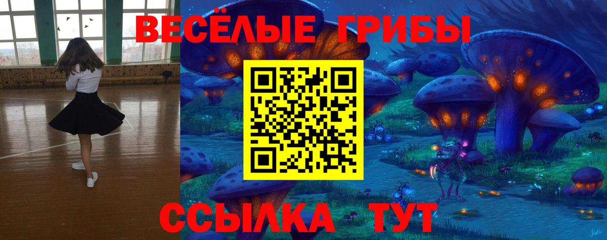 Петрозаводск  закладка  Галлюциногенные грибы ЛСД  Вход с VPN  Галлюциногенные грибы Cubensis 
